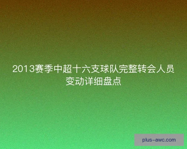 2013赛季中超十六支球队完整转会人员变动详细盘点